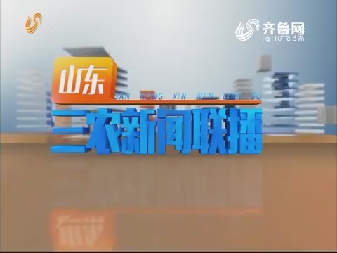 2019年05月13日山东三农新闻联播完整版