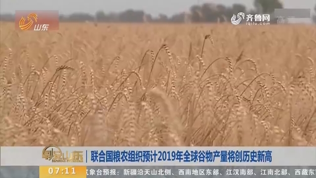 联合国粮农组织预计2019年全球谷物产量将创历史新高