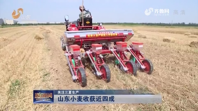 【关注三夏生产】山东小麦收获近四成