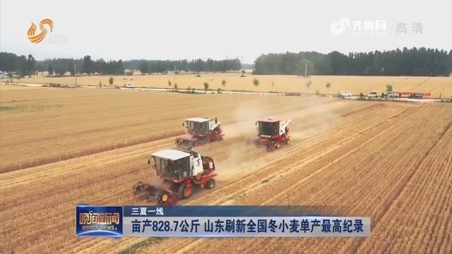 【三夏一线】亩产828.7公斤 山东刷新全国冬小麦单产最高纪录