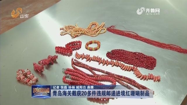 青岛海关截获20多件违规邮递进境红珊瑚制品
