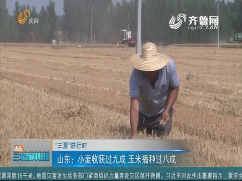 【“三夏”进行时】山东：小麦收获过九成 玉米播种过八成