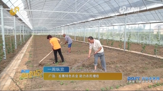 广饶：发展特色农业 助力农民增收