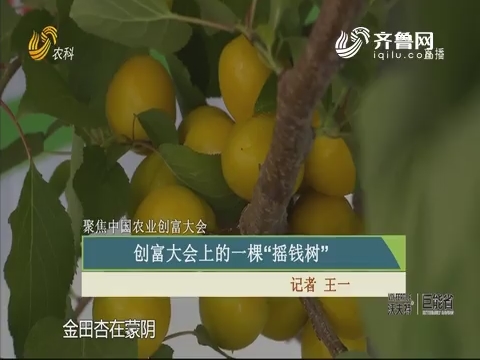 【聚焦中国农业创富大会】创富大会上的一棵“摇钱树”