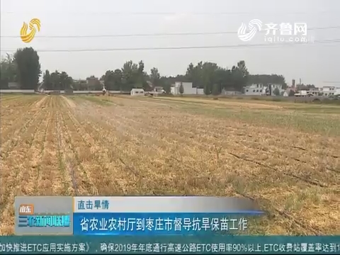 【直击旱情】省农业农村厅到枣庄市督导抗旱保苗工作