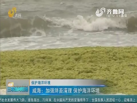 【保护海洋环境】威海：加强浒苔清理 保护海洋环境