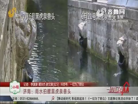 济南：雨水拍醒黑虎泉兽头
