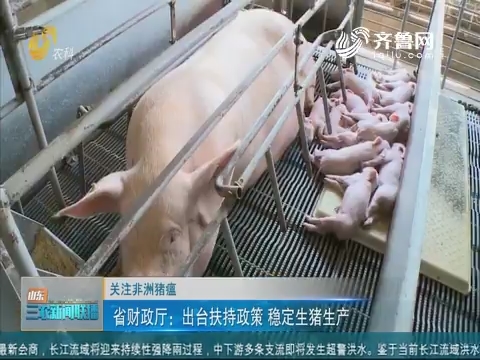 【关注非洲猪瘟】省财政厅：出台扶持政策 稳定生猪生产