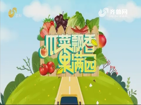 2019年07月12日《亲土种植•瓜菜飘香果满园》完整版