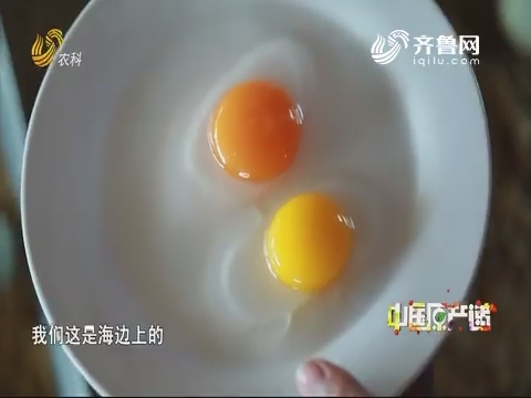 20190715《中国原产递》：松花海鸭蛋
