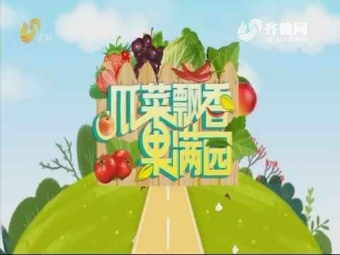 2019年07月15日《亲土种植•瓜菜飘香果满园》完整版
