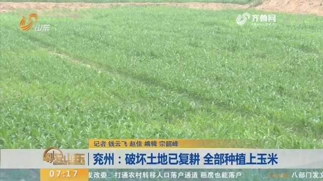 【闪电新闻排行榜】兖州：破坏土地已复耕 全部种植上玉米