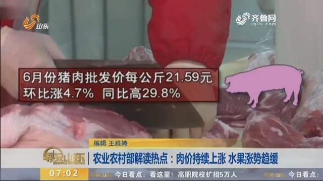 农业农村部解读热点：肉价持续上涨 水果涨势趋缓