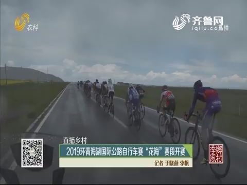 【直播乡村】2019环青海湖国际公路自行车赛“花海”赛段开赛