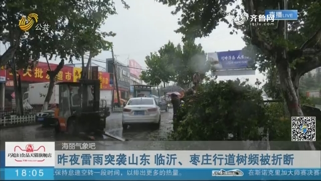 【海丽气象吧】7月29日夜雷雨突袭山东 临沂、枣庄行道树频被折断