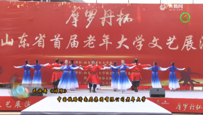 民族舞《鸿雁》中国铁路济南局集团有限公司老年大学
