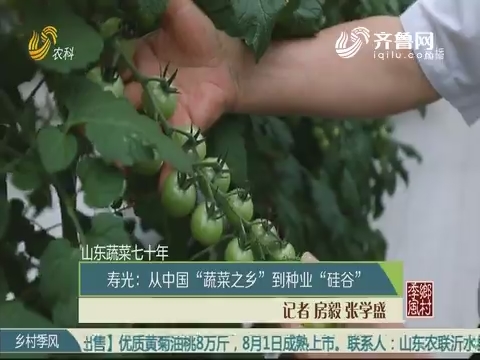 【山东蔬菜七十年】寿光：从中国“蔬菜之乡”到种业“硅谷”