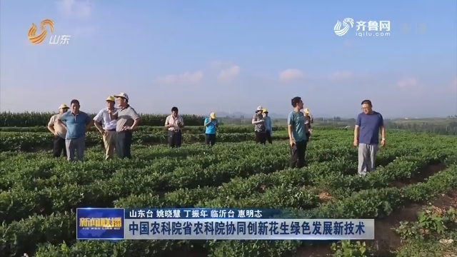 中国农科院省农科院协同创新花生绿色发展新技术