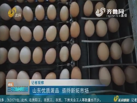 【记者观察】山东优质蛋品  亟待新拓市场