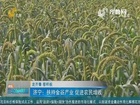 【走齐鲁 看样板】济宁：扶持金谷产业 促进农民增收