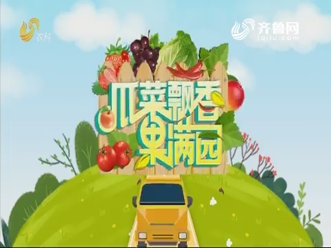 2019年08月07日《亲土种植·瓜菜飘香果满园》完整版