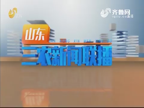 2019年08月08日山东三农新闻联播完整版