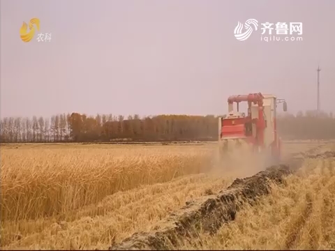 20190808《中国原产递》：初香粳大米