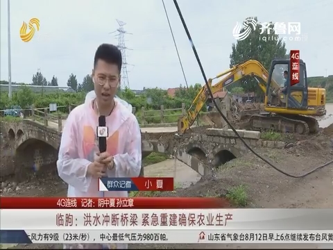【4G连线】临朐：洪水冲断桥梁 紧急重建确保农业生产