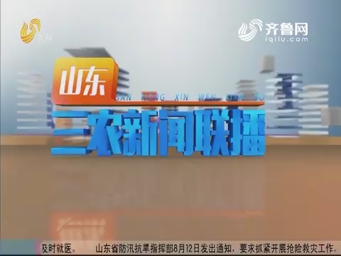 2019年08月12日山东三农新闻联播完整版