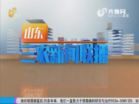 2019年08月15日山东三农新闻联播完整版