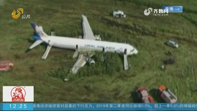 俄罗斯：俄客机遭遇飞鸟撞击 成功迫降