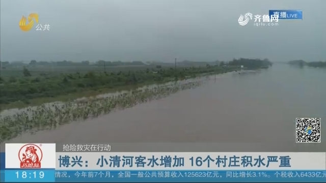 【抢险救灾在行动】博兴：小清河客水增加 16个村庄积水严重