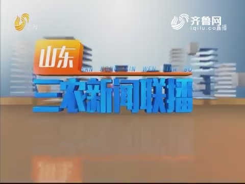 2019年08月19日山东三农新闻联播完整版