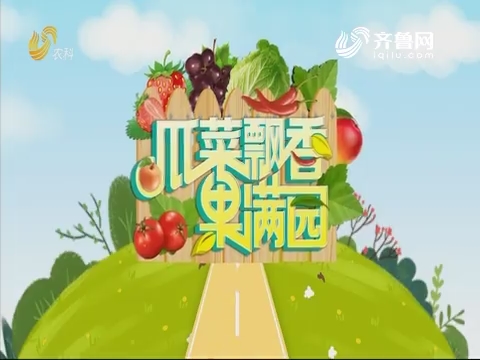 2019年08月22日《亲土种植·瓜菜飘香果满园》完整版