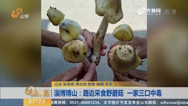 【闪电新闻排行榜】淄博博山：路边采食野蘑菇 一家三口中毒