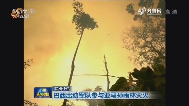 【联播快讯】巴西出动军队参与亚马孙雨林灭火