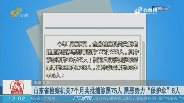 山东省检察机关7个月共批捕涉黑75人 黑恶势力“保护伞”8人
