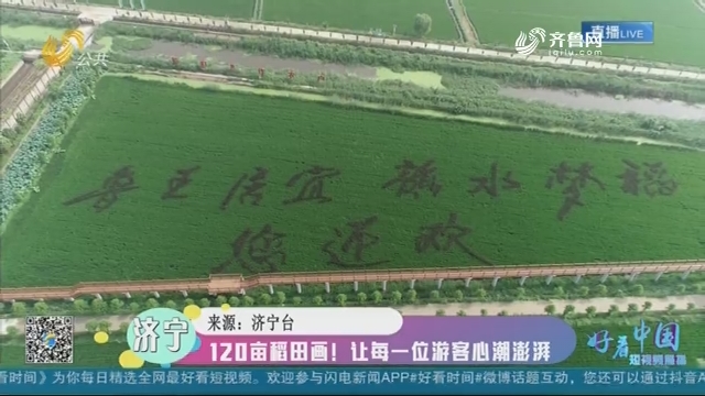 【融媒朋友圈】120亩稻田画！让每一位游客心潮澎湃