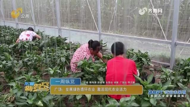 广饶：发展绿色循环农业 激活现代农业活力