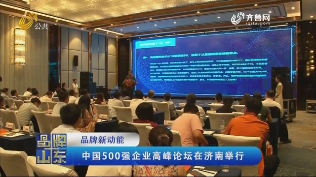 【品牌新动能】中国500强企业高峰论坛在济南举行