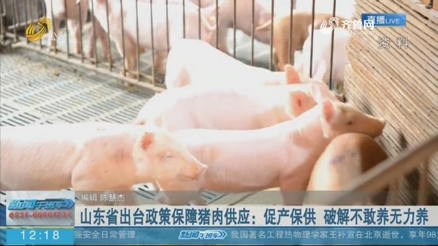 山东省出台政策保障猪肉供应：促产保供 破解不敢养无力养