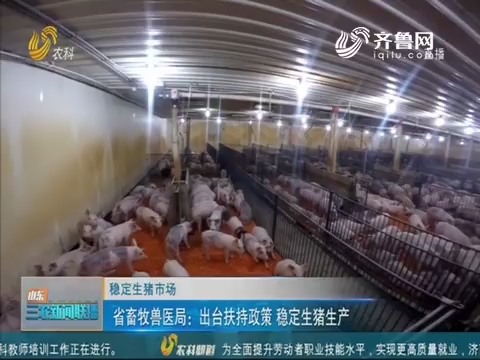 【稳定生猪市场】省畜牧兽医局：出台扶持政策 稳定生猪生产