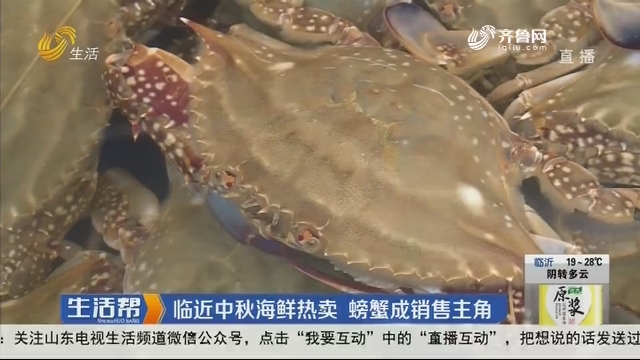 临近中秋海鲜热卖 螃蟹成销售主角