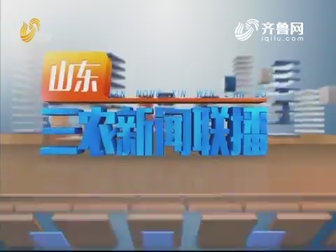 2019年09月12日山东三农新闻联播完整版