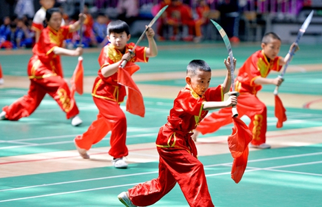 “中国体育彩票杯”德州第六届武术套路比赛举行