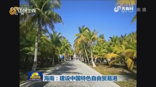 海南：建设中国特色自由贸易港