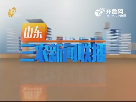 2019年09月17日山东三农新闻联播完整版