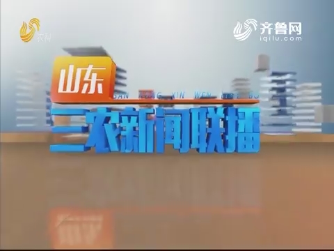 2019年09月19日山东三农新闻联播完整版