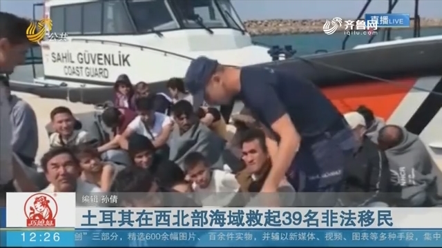土耳其在西北部海域救起39名非法移民