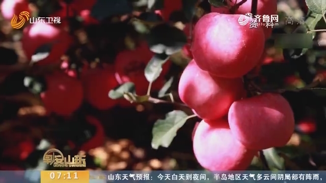 “中国农民丰收节”暨济宁市优质农产品博览会今天举行